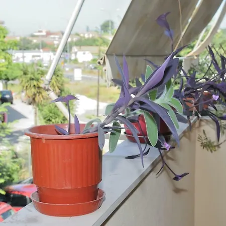 Traditional In Corfu Next To The Center דירה Corfu (city)